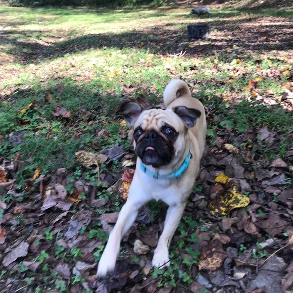 Meet your Posher, Selah - Picture 8 of 12